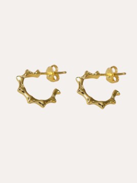 Pendientes Aros Carabeo...