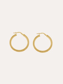 copy of Pendientes Aros...